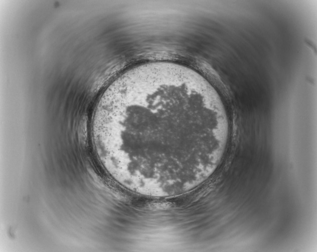 X0000100230202200806271757