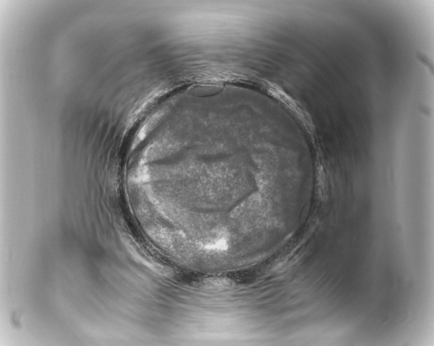 X0000100230203200806271757