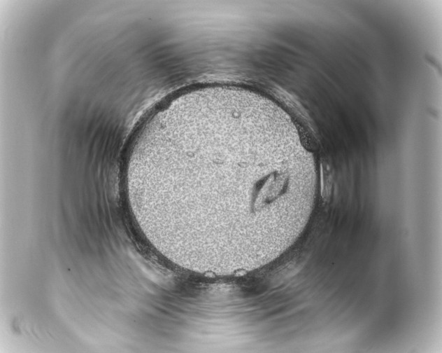 X0000100230204200806271757