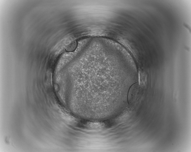 X0000100230205200806271757