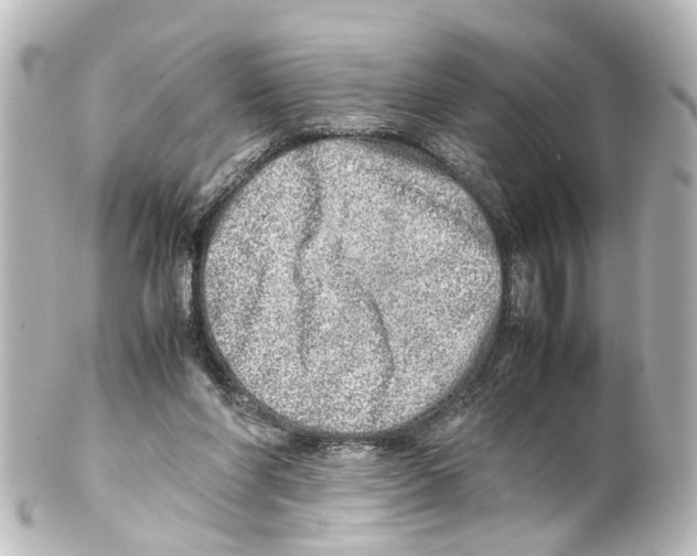 X0000100230206200806271757