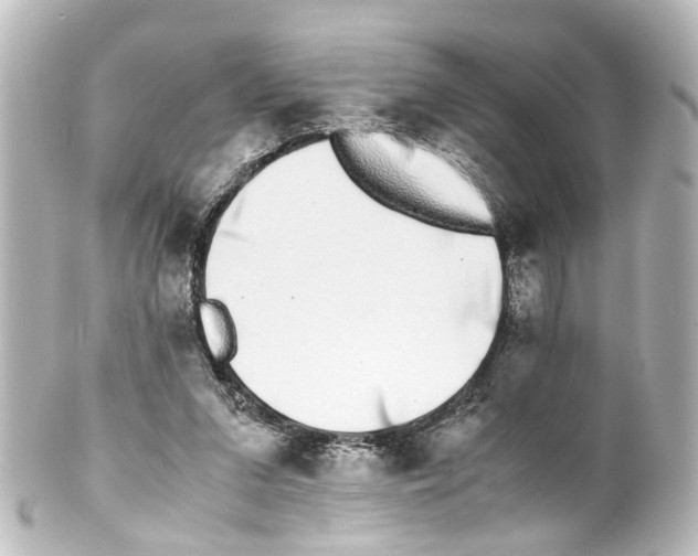 X0000100230207200806271757