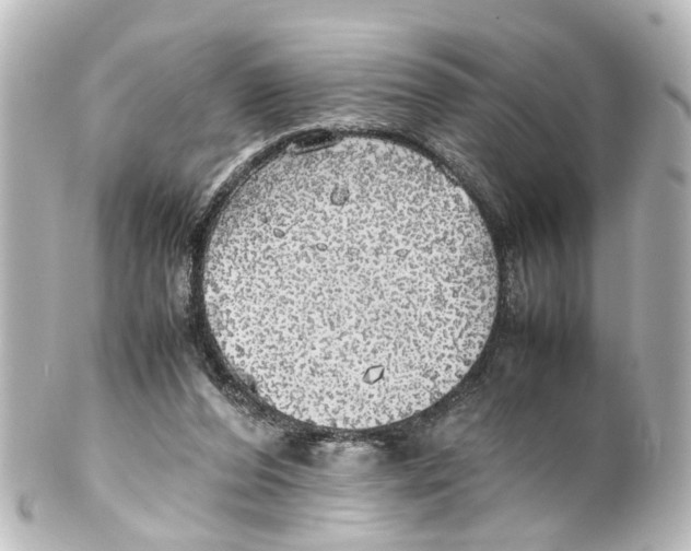 X0000100230208200806271757