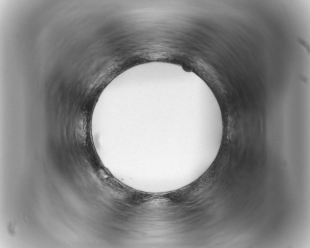 X0000100230210200806271757