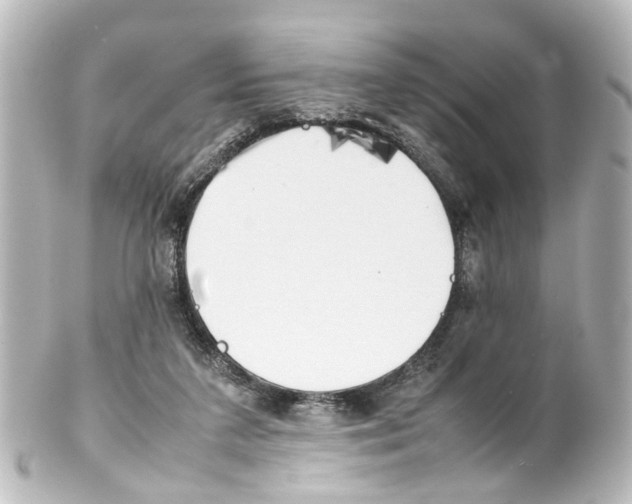 X0000100230211200806271757