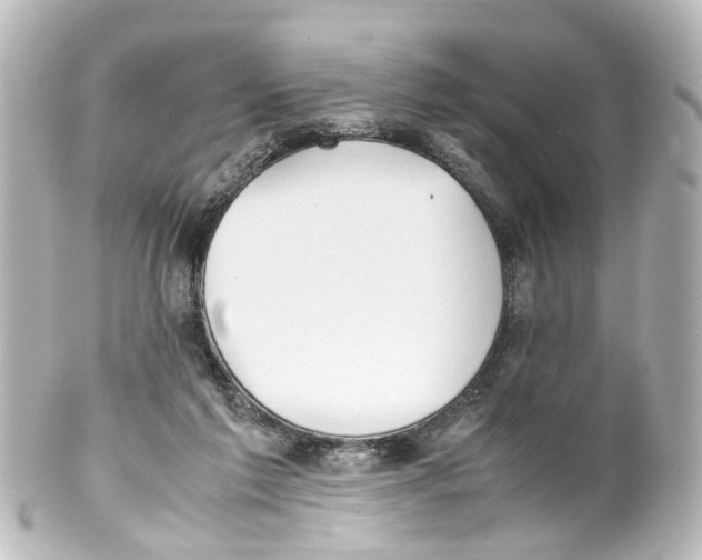X0000100230213200806271757