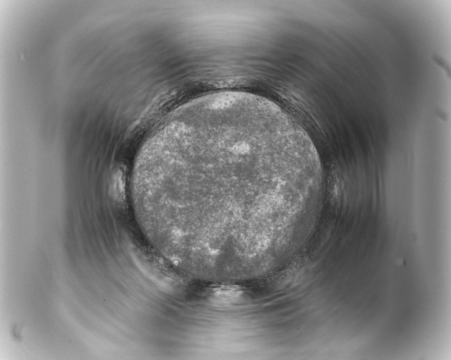 X0000100230214200806271757
