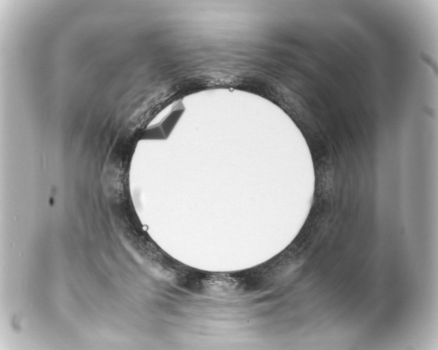 X0000100230215200806271757