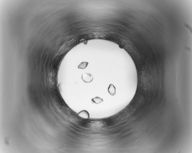 X0000100230218200806271757