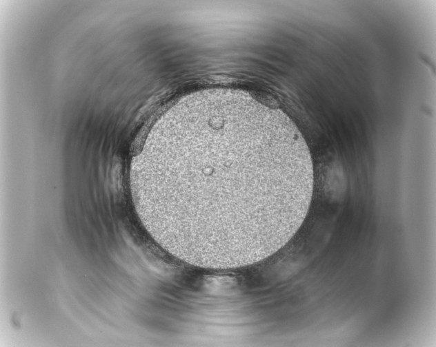 X0000100230220200806271757