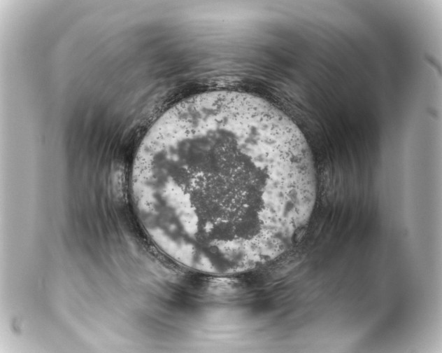 X0000100230222200806271757
