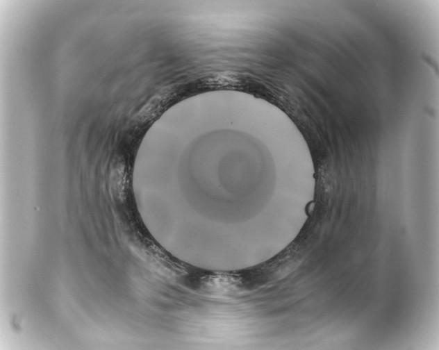 X0000100230223200806271757