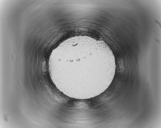 X0000100230224200806271757