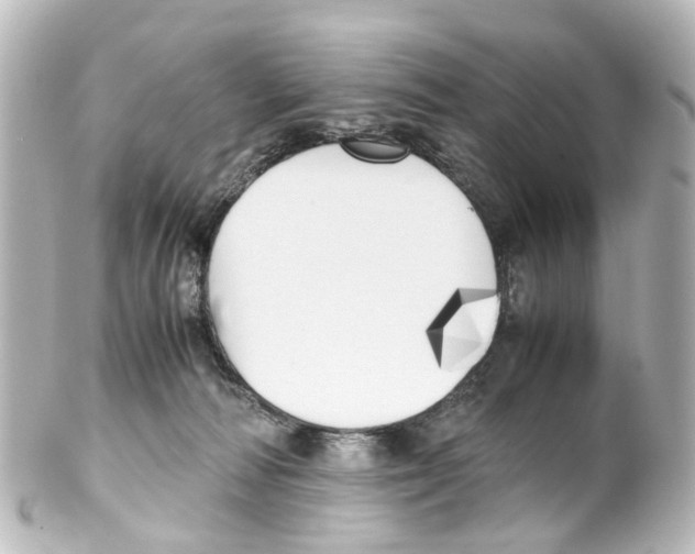 X0000100230226200806271757