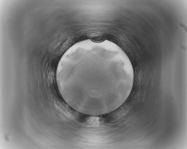 X0000100230227200806271757