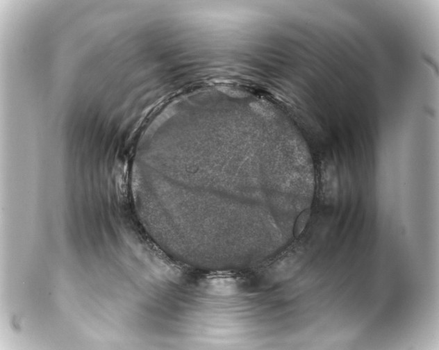 X0000100230228200806271757