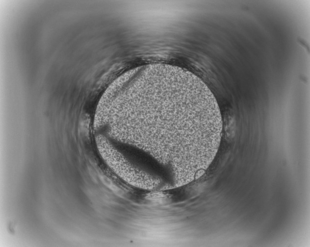 X0000100230231200806271757