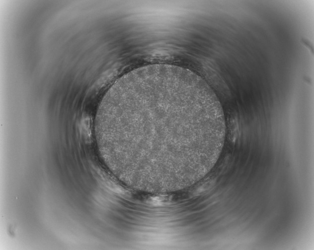 X0000100230232200806271757