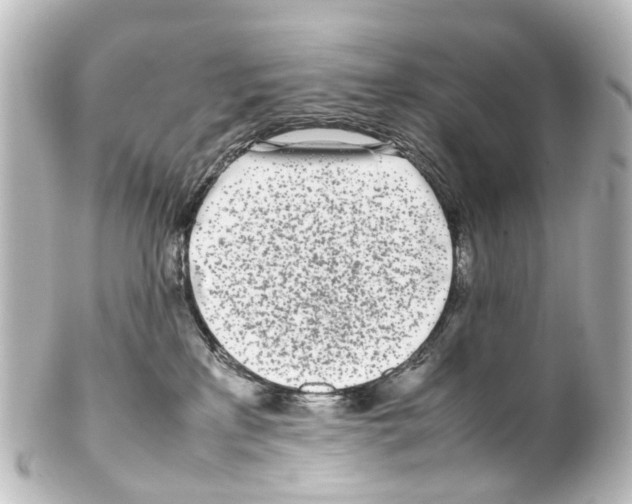 X0000100230233200806271757