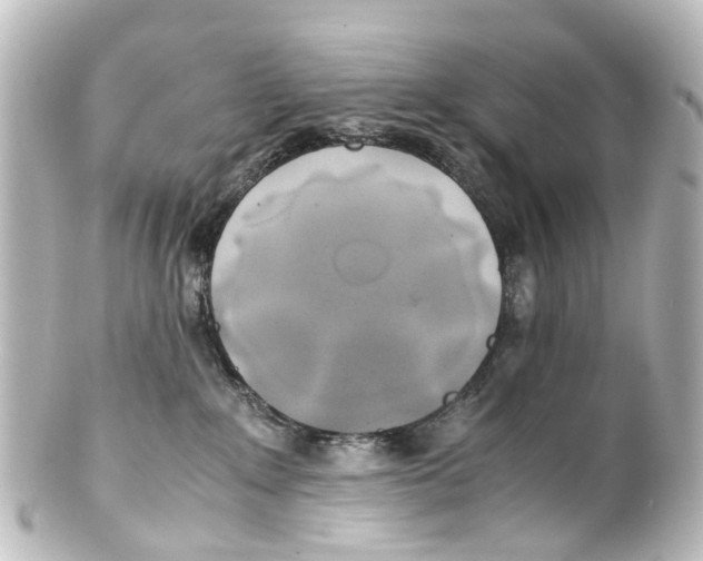 X0000100230235200806271757