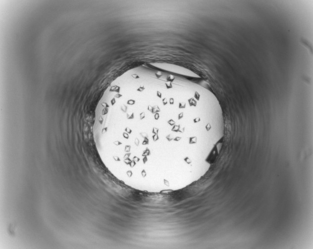 X0000100230237200806271757