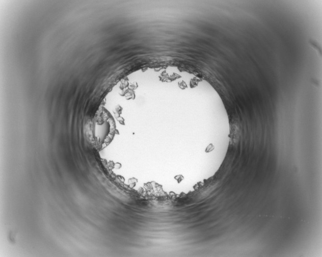 X0000100230238200806271757