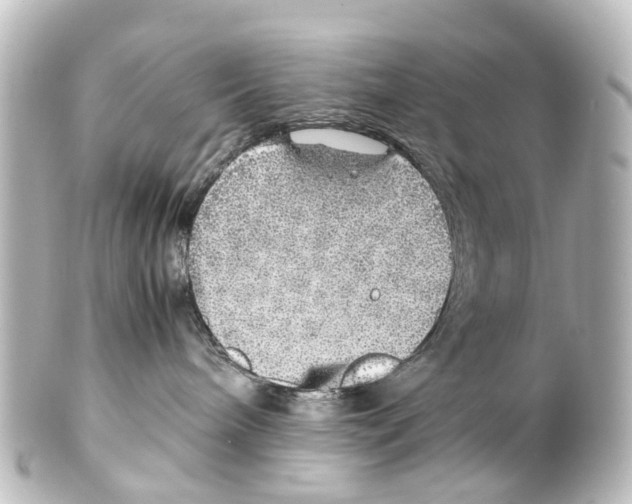 X0000100230240200806271757