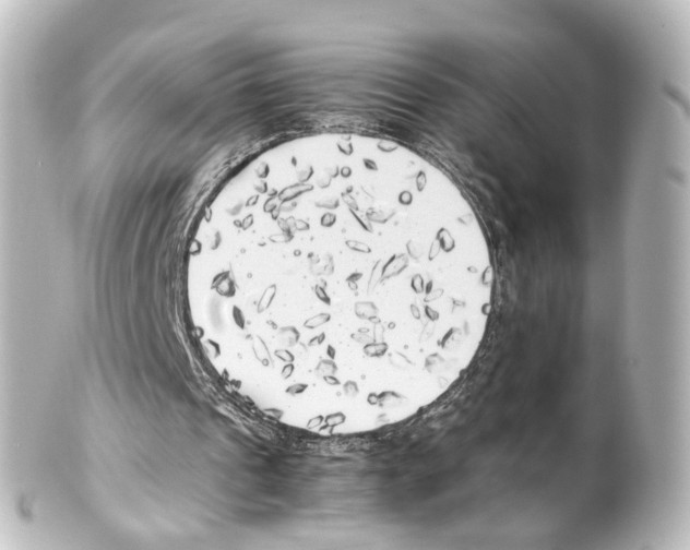 X0000100230241200806271756