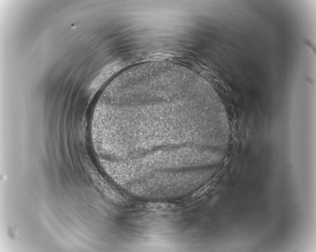 X0000100230242200806271756