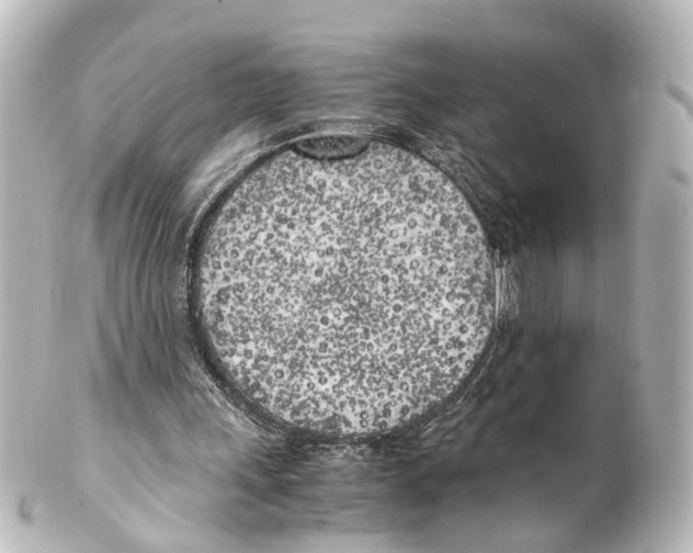 X0000100230243200806271756