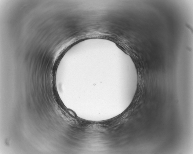 X0000100230244200806271756