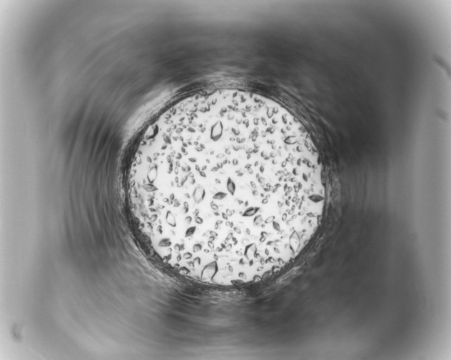X0000100230245200806271756