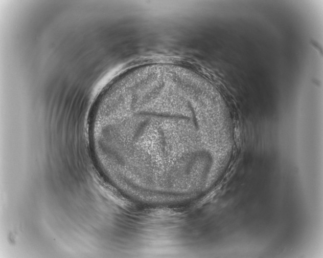 X0000100230246200806271756