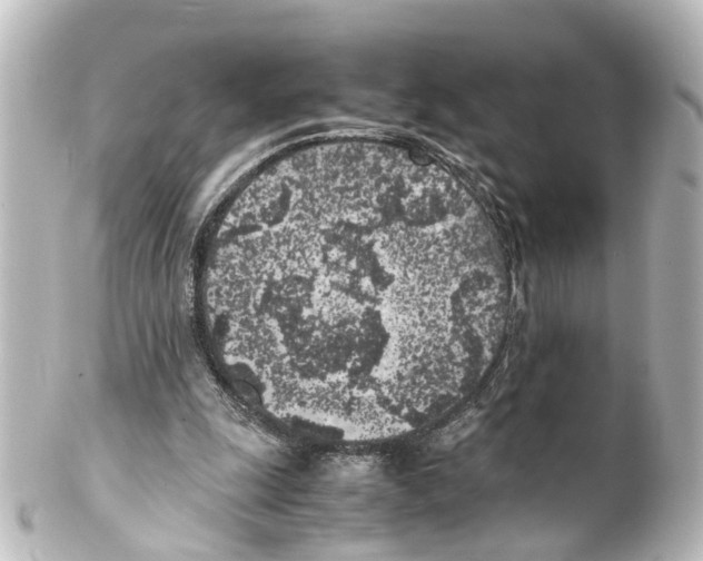X0000100230247200806271756