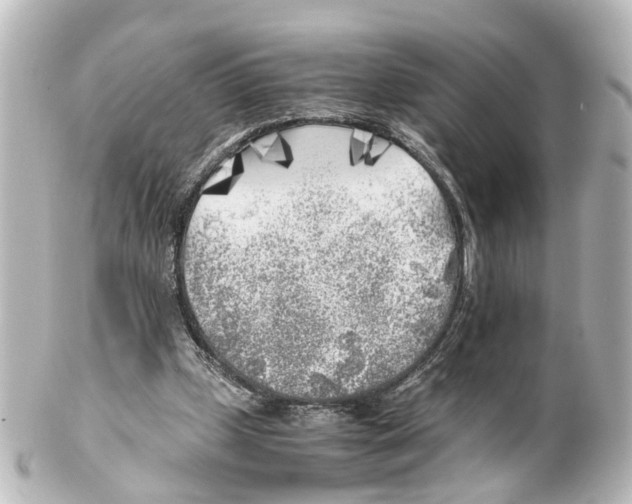 X0000100230249200806271756