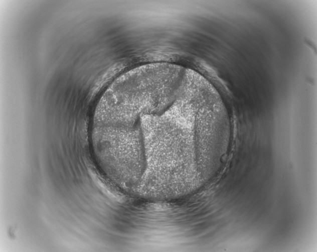 X0000100230250200806271756