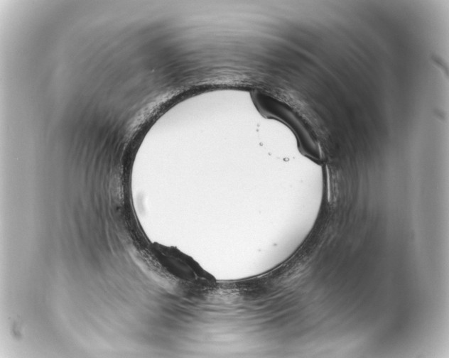 X0000100230252200806271756