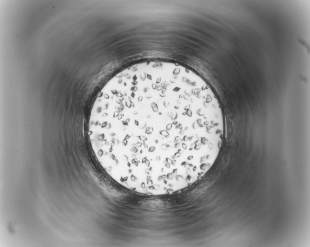 X0000100230253200806271756