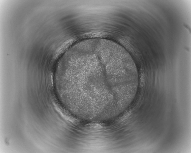 X0000100230254200806271756