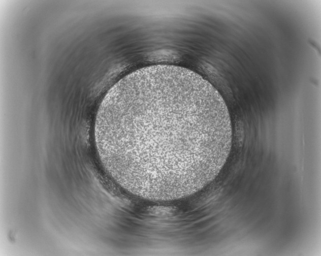 X0000100230255200806271756