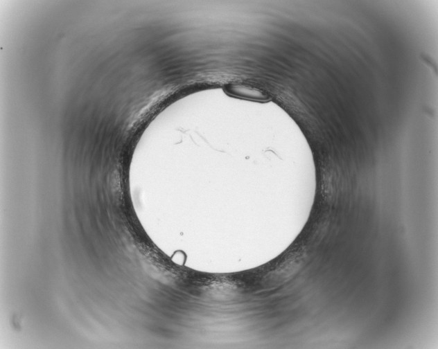 X0000100230256200806271756