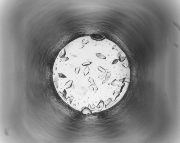 X0000100230257200806271756