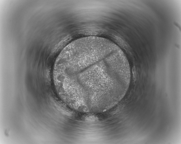 X0000100230258200806271756