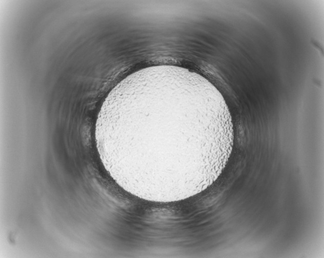 X0000100230259200806271756