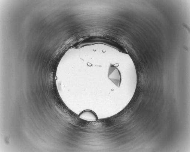 X0000100230260200806271756