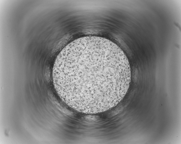 X0000100230261200806271756