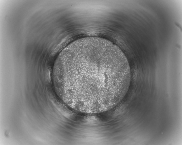 X0000100230262200806271756