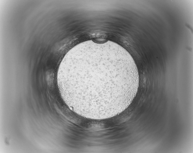 X0000100230263200806271756