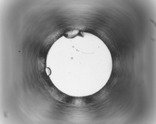 X0000100230264200806271756