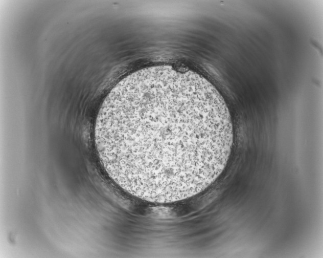 X0000100230265200806271756